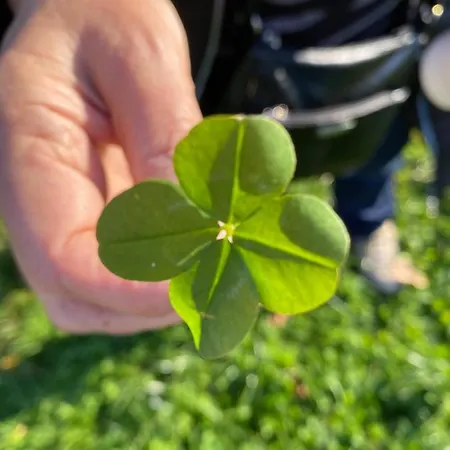 Vltavanka Apartmán Županovice